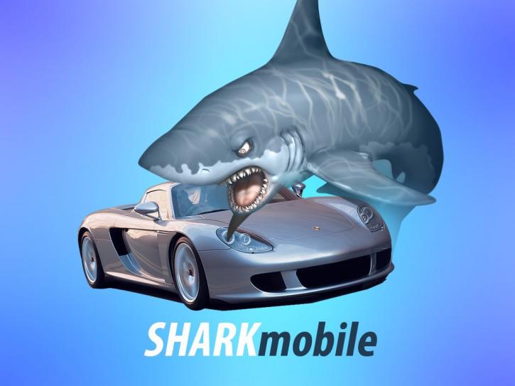 Image for Mobile App Reviews with ID of: 364081