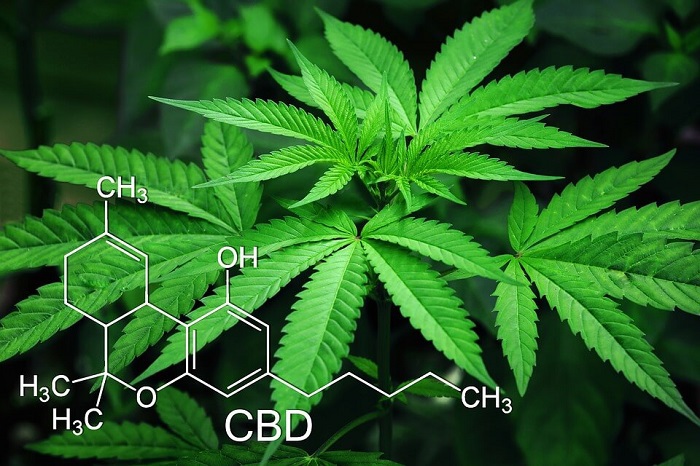 Image for CBD Badge with ID of: 3642333