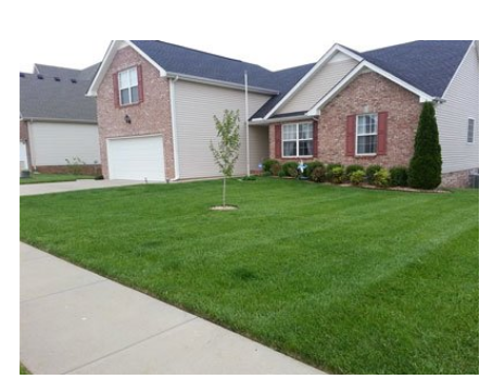 Image for 321 Home Services with ID of: 3642987