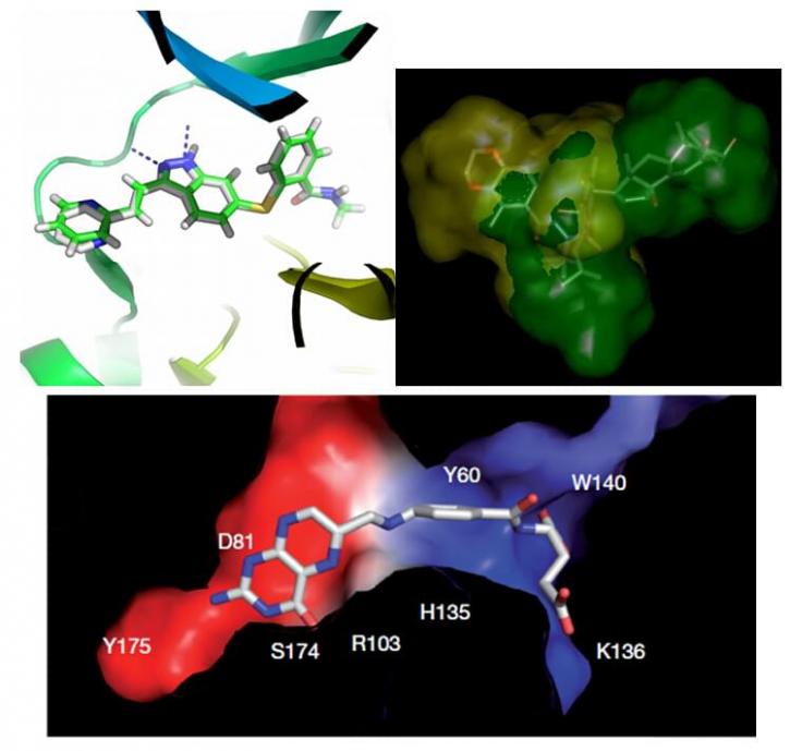 Image for antibody array with ID of: 3644159