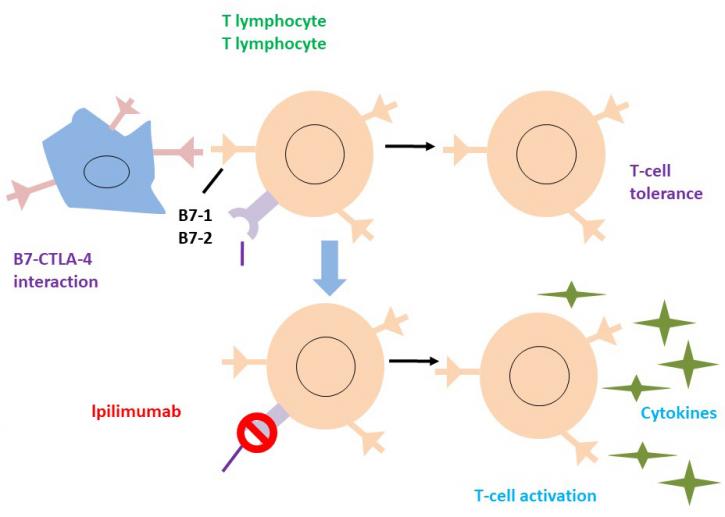 Image for quaternary amine with ID of: 3644216