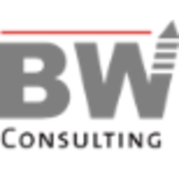 Image for Bernd Wiest Consulting with ID of: 3645636