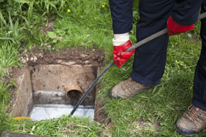 Image for CANDU PLUMBING & ROOTER with ID of: 3646755