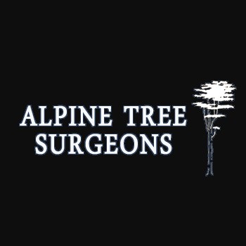 Image for Alpine Tree Surgeons Guildford with ID of: 3649165