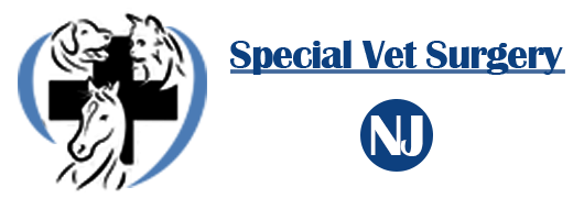 Image for Special Vet Surgery with ID of: 3649523