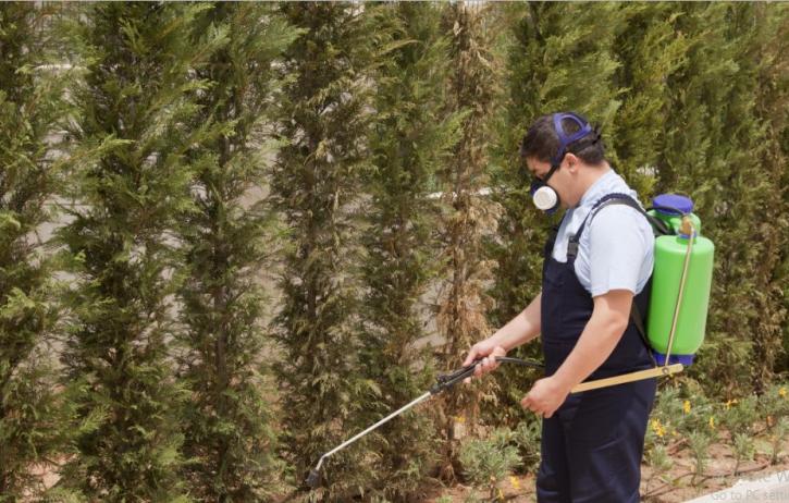 Image for Prime Pest Control with ID of: 3649598