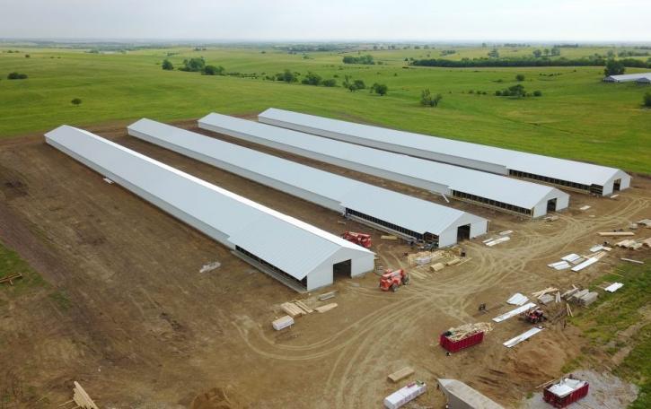 Image for Settje Agri-Services and Engineering, Inc. with ID of: 3650569