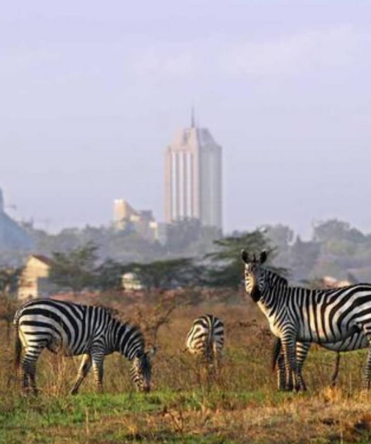 Image for Nairobi Day Tour Excursions with ID of: 3652188