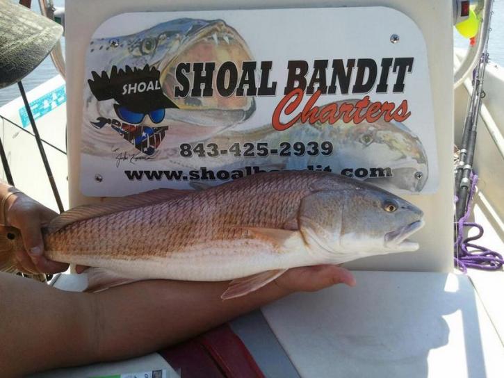 Image for Shoal Bandit Charters with ID of: 3653417