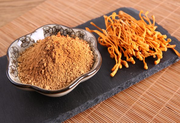 Image for Cordyceps Sinensis Extract Market: Competitive Intelligence and Tracking Report 2018 – 2026 with ID of: 3654253
