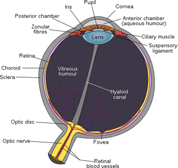 Image for Outlook EyeCare with ID of: 3655552