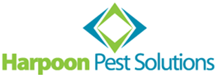 Image for Harpoon Pest Solutions with ID of: 3656269