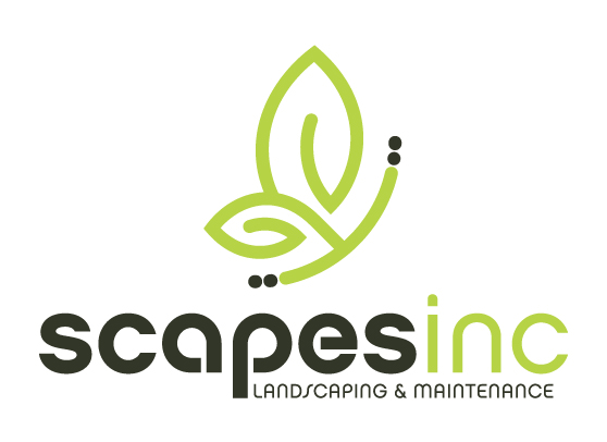 Image for Scapes, Inc. with ID of: 3656827