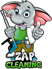Image for ZAP Cleaning with ID of: 3658337