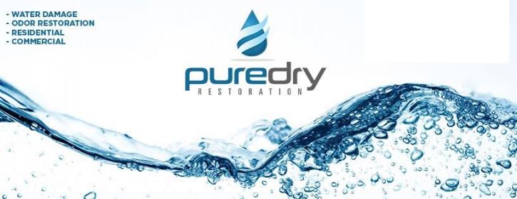 Image for PureDry Restoration with ID of: 3659725