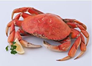 Image for Pucci Foods with ID of: 3664382