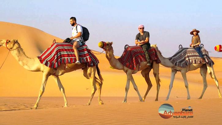 Image for Camel ride in dubai with ID of: 3668518