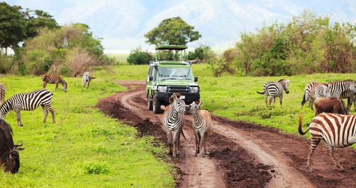 Image for African Safari Tour Packages with ID of: 3669747
