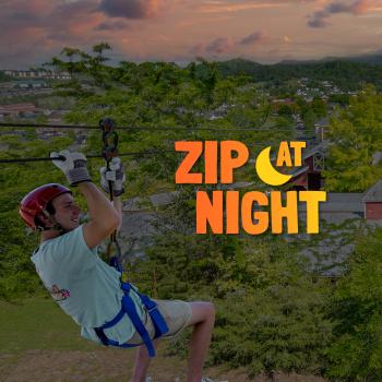 Image for Adventure Park Ziplines with ID of: 3670170