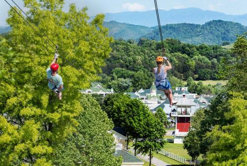 Image for Adventure Park Ziplines with ID of: 3670184