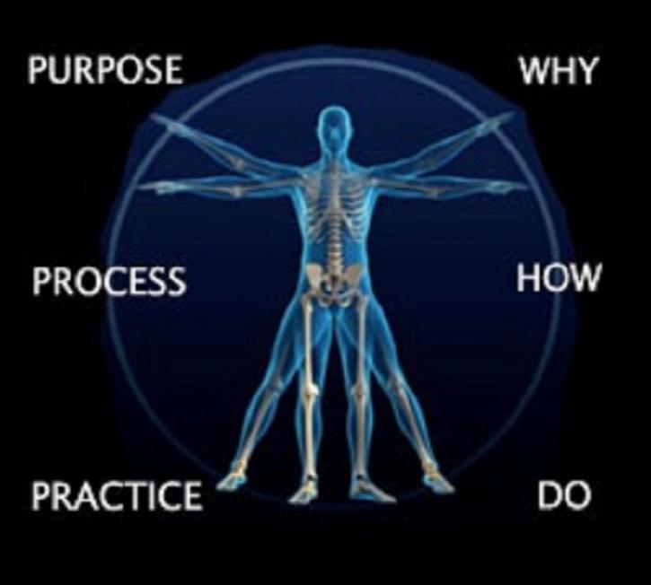 Image for Body Praxis with ID of: 3670236