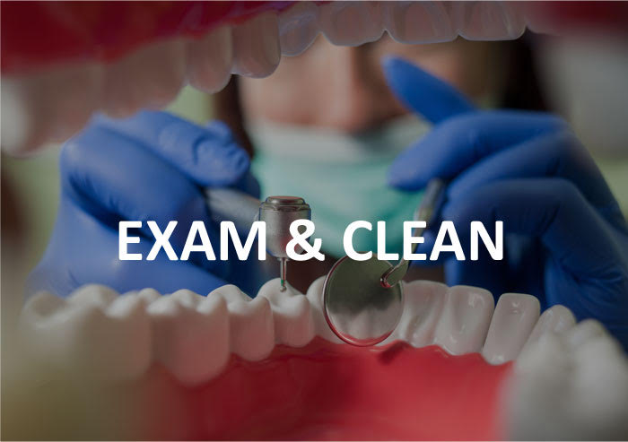 Image for Dentist Frankston with ID of: 3670311