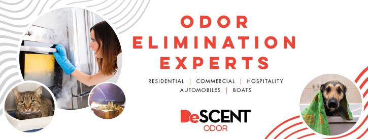 Image for Odor Removal Service Georgia with ID of: 3670893