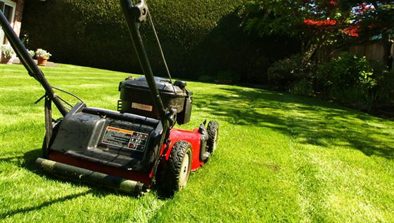 Image for Bronx Lawn Cutting And Yard Maintenance with ID of: 3671649