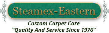 Image for Steamex Eastern of Cincinnati with ID of: 3672361