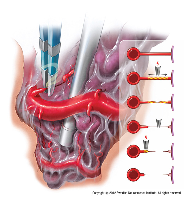 Image for David Newell, MD with ID of: 3672829