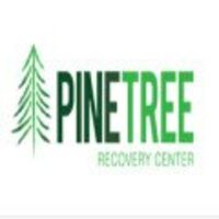Image for Pine Tree Recovery with ID of: 3673160