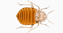 Image for Pest Control Technicians with ID of: 3673680