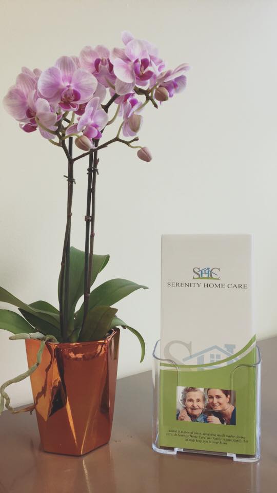 Image for Serenity Home Care with ID of: 3674778