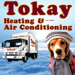 Image for Tokay Heating and Air Conditioning with ID of: 3675077