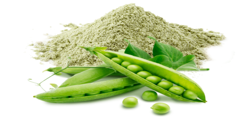 Image for Organic Pea Protein Market Study By Type, Application & Top Key Players - Axiom Foods, Inc., The Scoular Company, World Food Processing, L.L.C, AIDP, Incorporated, Shaanxi Fuheng (Fh) Biotechnology Co., Ltd with ID of: 3676241
