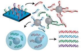 Image for Gene Synthesis Market Latest Trends and Developments with ID of: 3676689