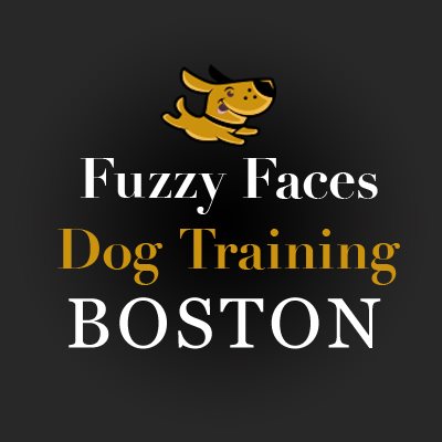 Image for Fuzzy Faces Dog Training Boston with ID of: 3677627