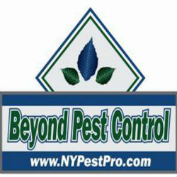 Image for Beyond Pest Control Inc. with ID of: 3678722