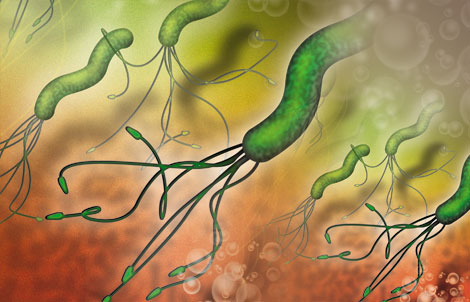 Image for Helicobacter Pylori Diagnostics Market Progresses for Huge Growth to 2026 Envisage by Global Top Players with ID of: 3680722