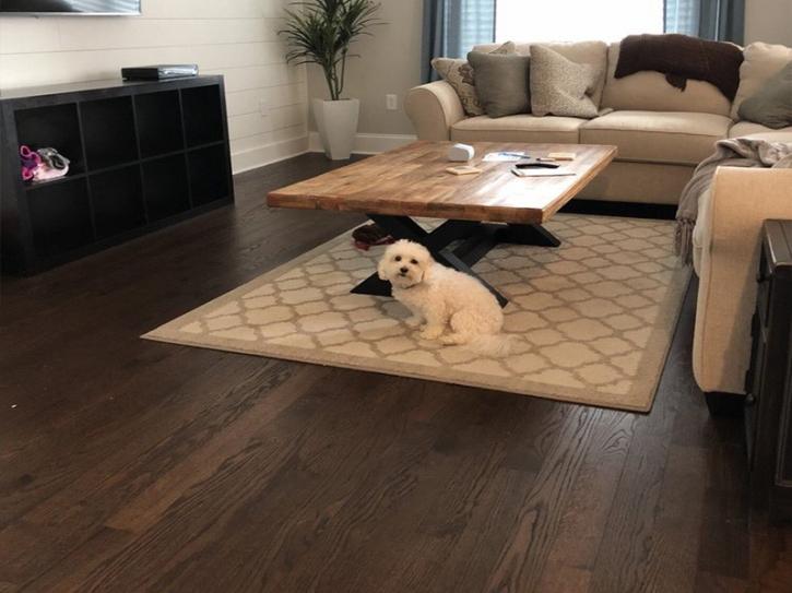 Image for Commercial Hardwood Flooring Moorestown NJ with ID of: 3682125
