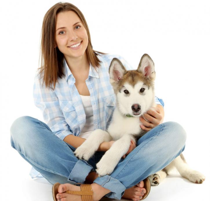 Image for Jump Start Dog Training with ID of: 3682480