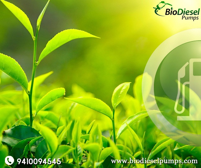 Image for Biodiesel pumps in Uttar Pradesh with ID of: 3683277