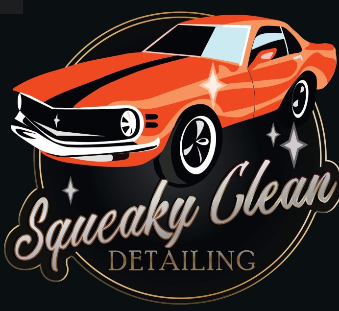 Image for Squeaky Clean Detailing Gold Coast with ID of: 3683420