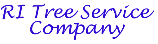 Image for Rhode Island Tree Service with ID of: 3684201