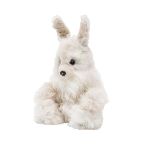 Image for Winterborn Alpaca USA with ID of: 3684382