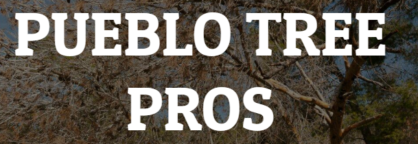 Image for Pueblo Tree Pros with ID of: 3684826