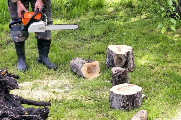Image for Pueblo Tree Pros with ID of: 3684831