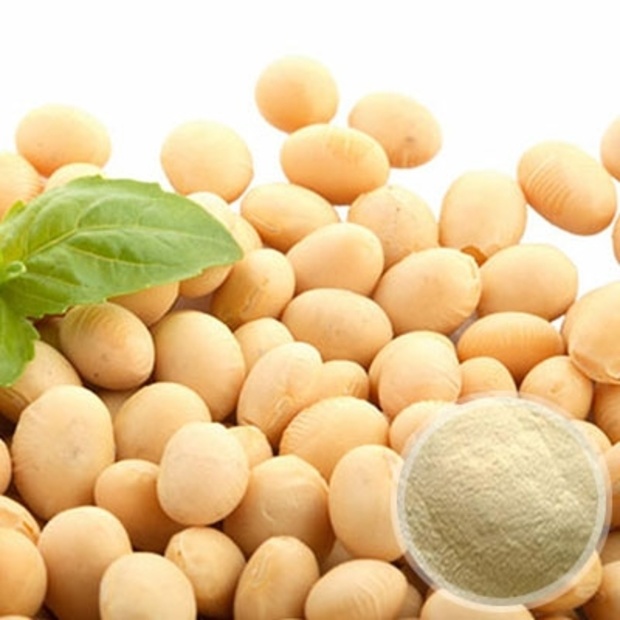 Image for Soy Peptides Market Study By Application & Top Key Players - Fuji Oil, Givaudan, Sinosilk, Shansong Biology, Nutraferma with ID of: 3685944