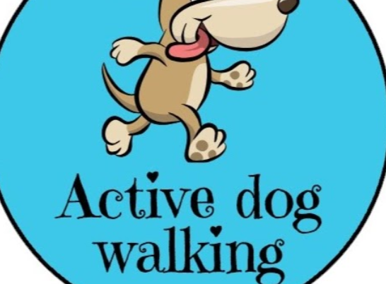 Image for Active dog walking Brighton with ID of: 3686139