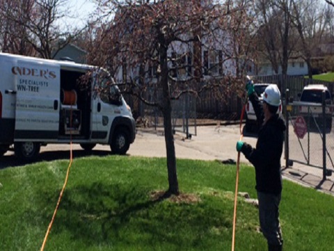Image for Contender's Tree & Lawn Specialists with ID of: 3686565